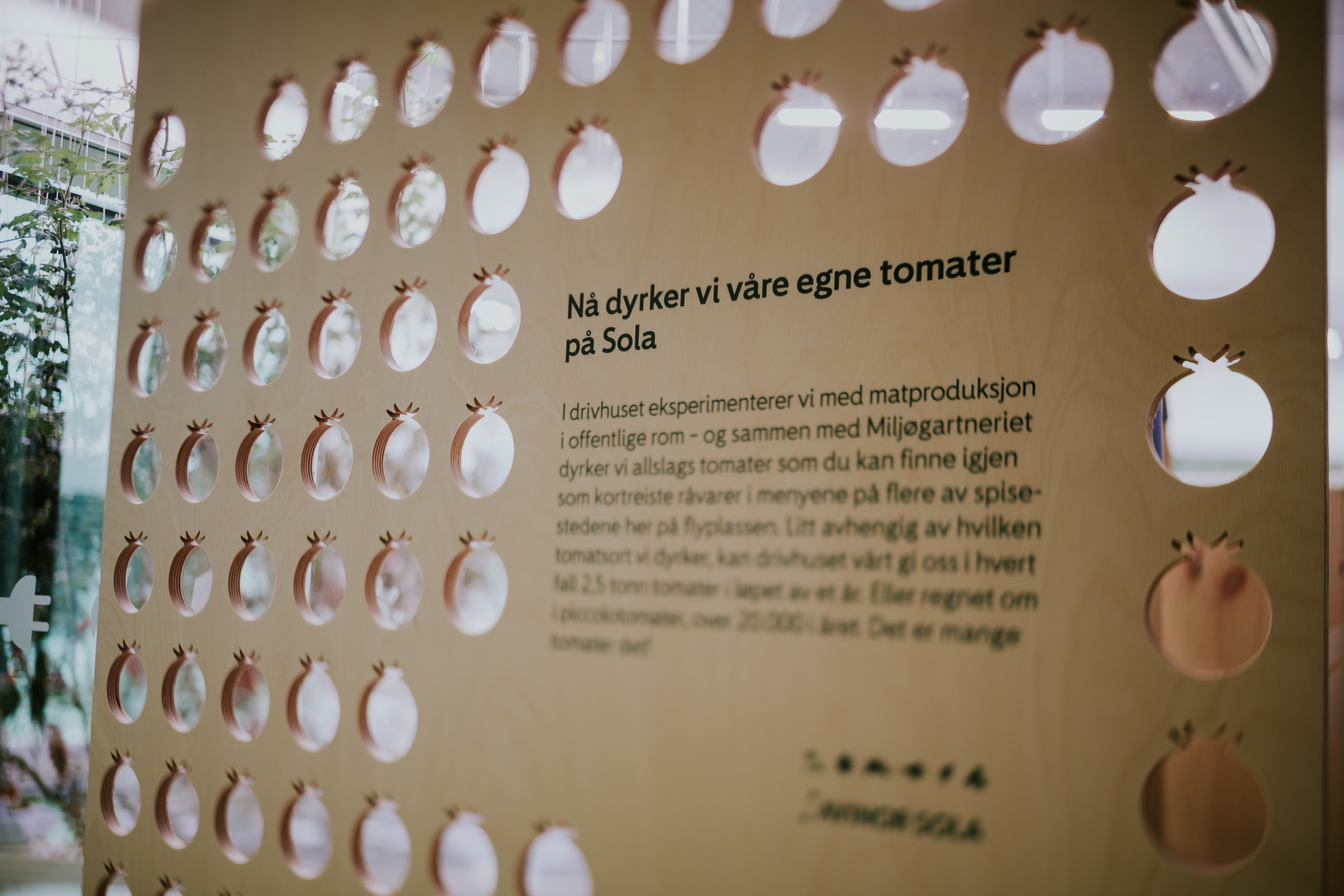 Avinor%20Sola%20tomater