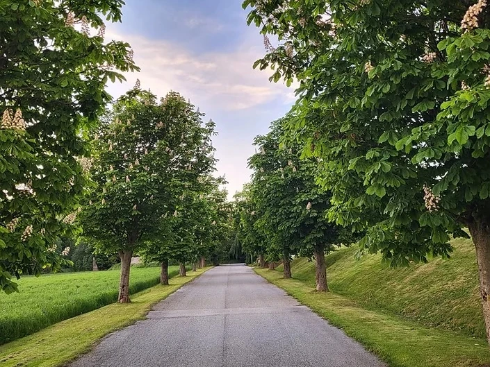 fotoDrivhusetpa%CC%8AB%C3%A6rheim