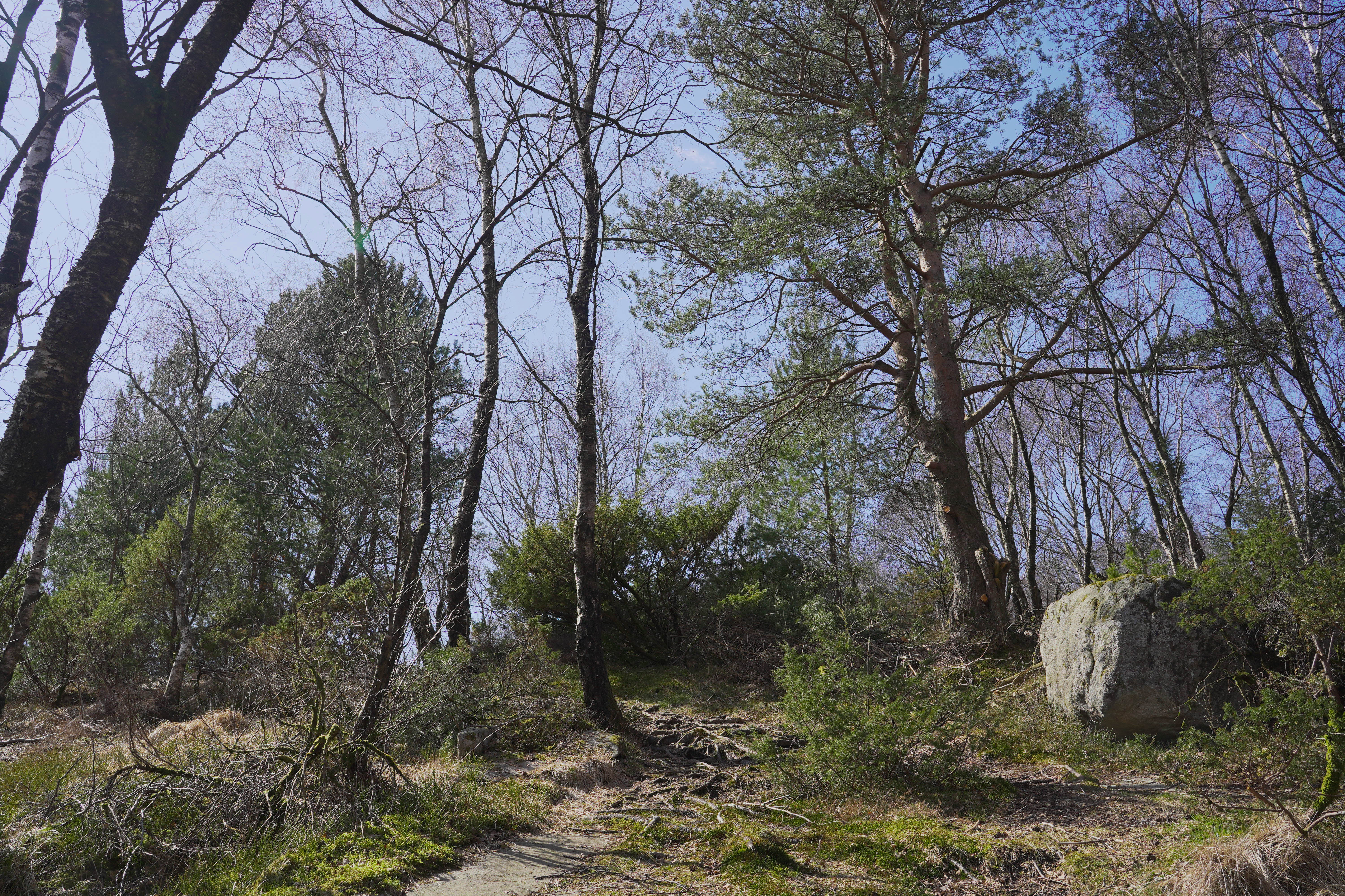 J%C3%A5tt%C3%A5turen%20V2