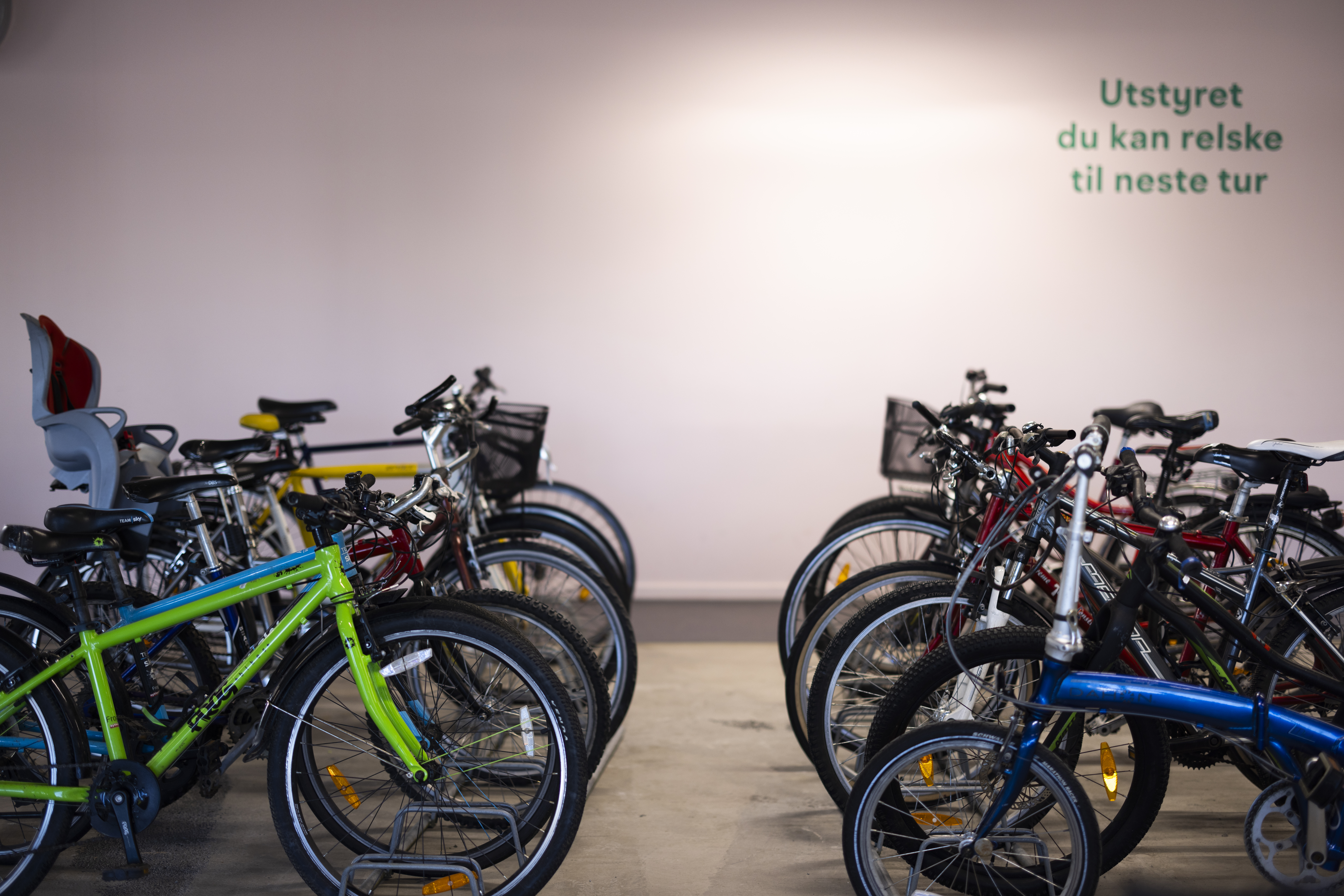 Relsk-314-37425687-Foto_Anne_Lise_Norheim